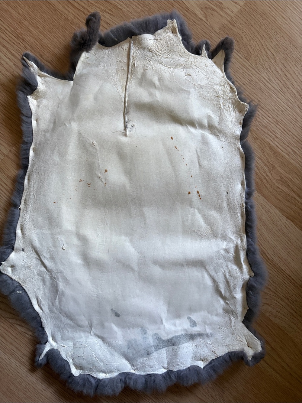 B0090 Rex rabbit hide - Picture 2 of 3